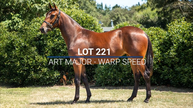 Lot 221