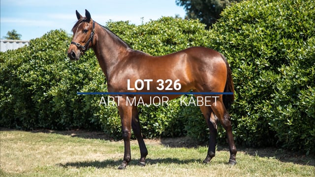 Lot 326