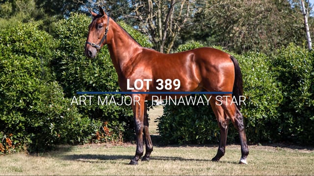 Lot 389