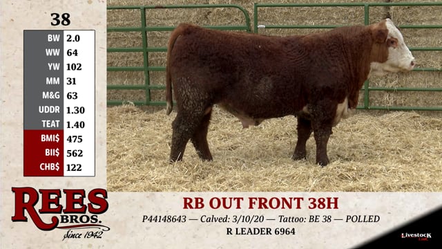 Lot #38 - RB OUT FRONT 38H