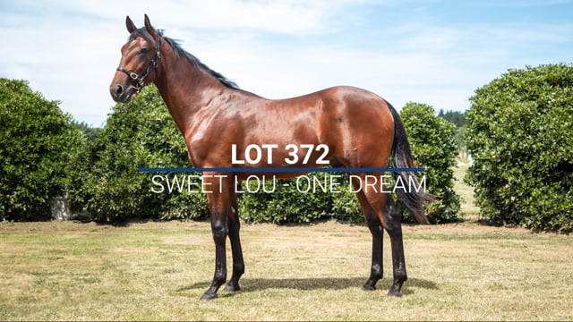 Lot 372