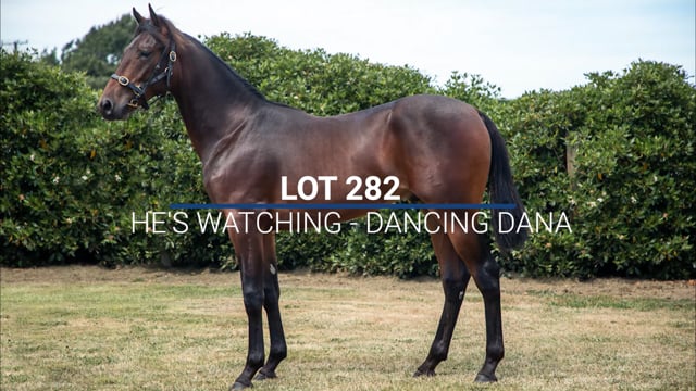 Lot 282