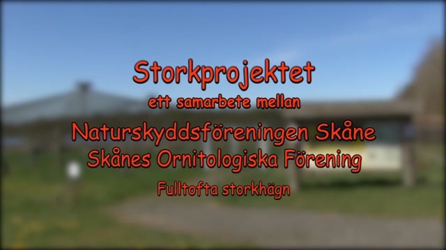 Storkprojektet i Skåne 2021