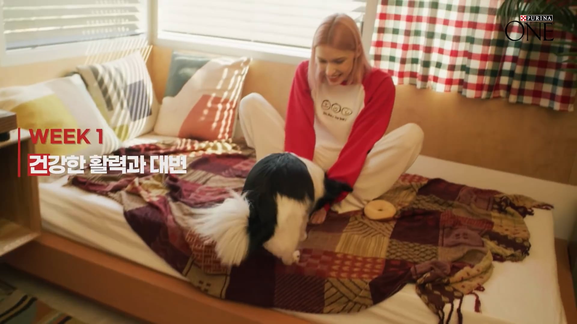 PURINAONE_STEFANIE MICHOVA