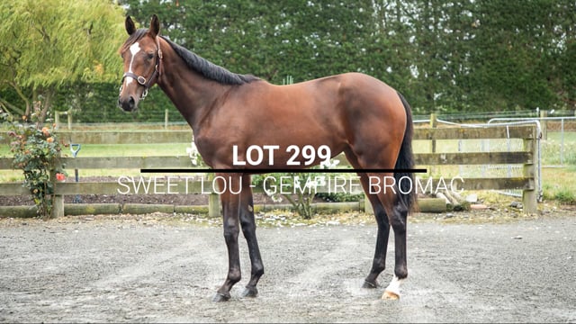Lot 299