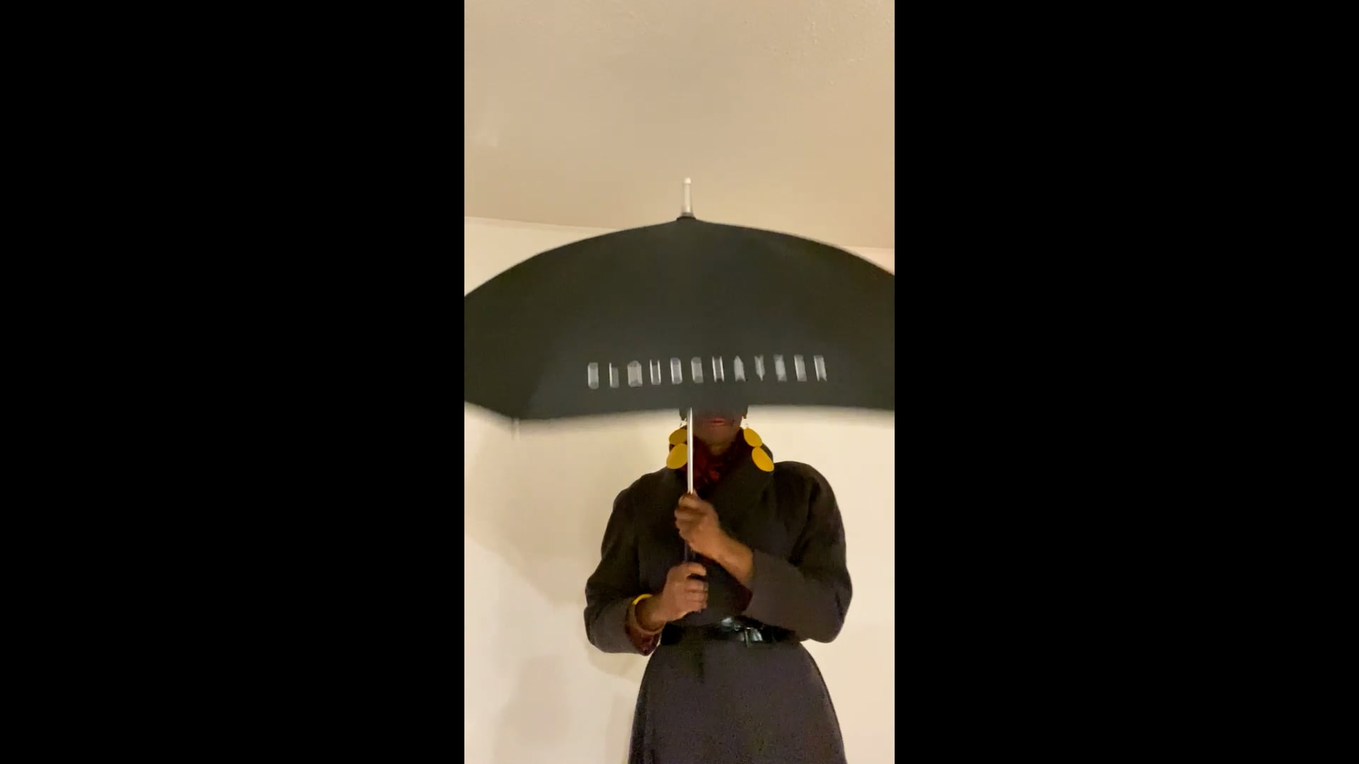 https://i.vimeocdn.com/video/1366036145-1b349803e228dbbed50170209e2cb6fd2fd773c44244cc10c7a5518e9c626236-d