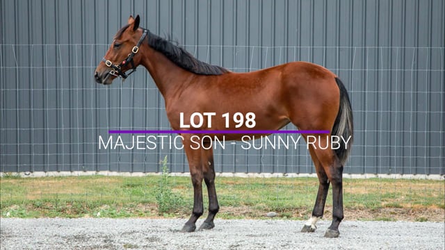 Lot 198