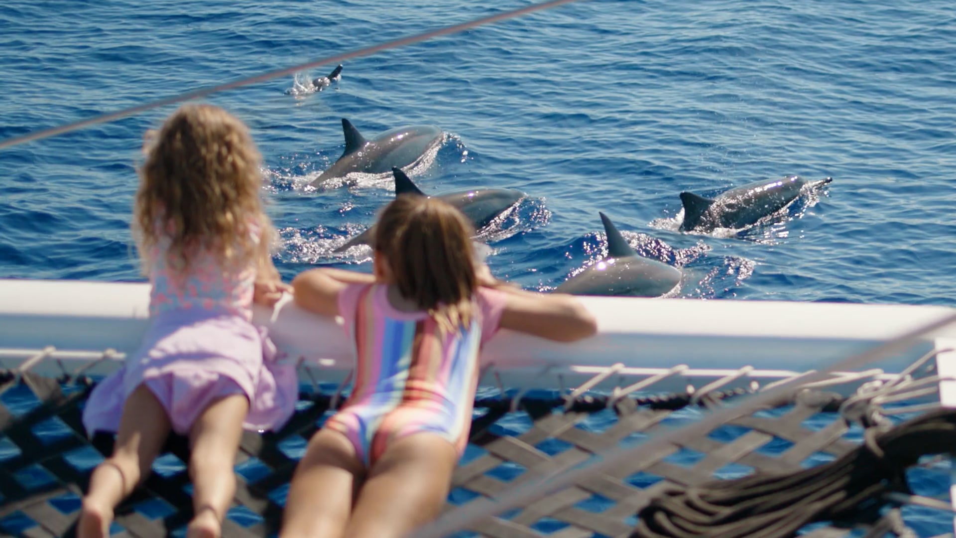 Gemini Snorkel Excursion