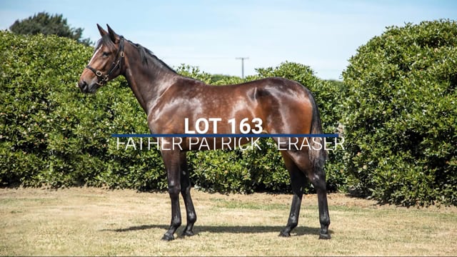Lot 163