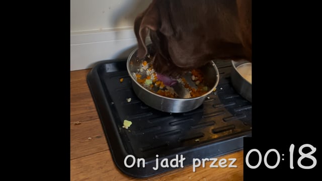 He … (eat) for 18 seconds.