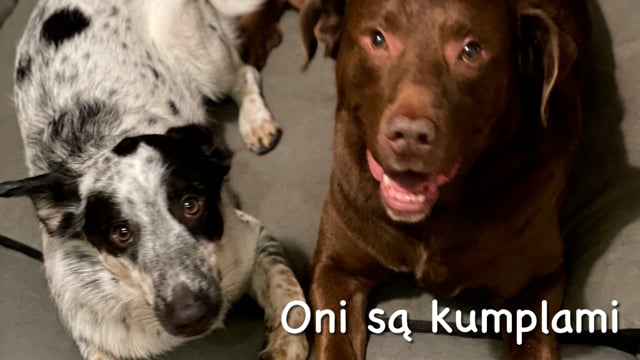 They … (be) friends.