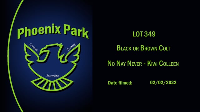 Lot 349