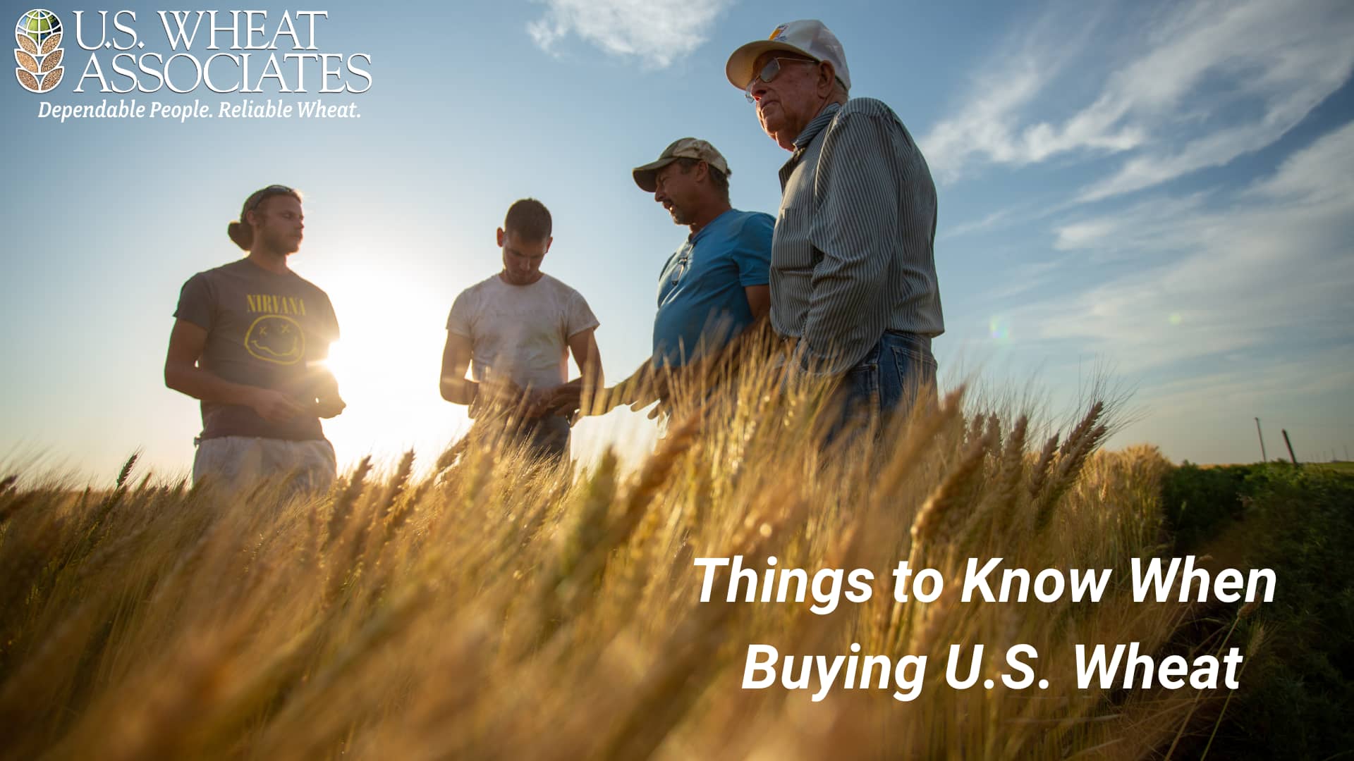 Us Wheat Associates Things To Know When Buying Us Wheat On Vimeo