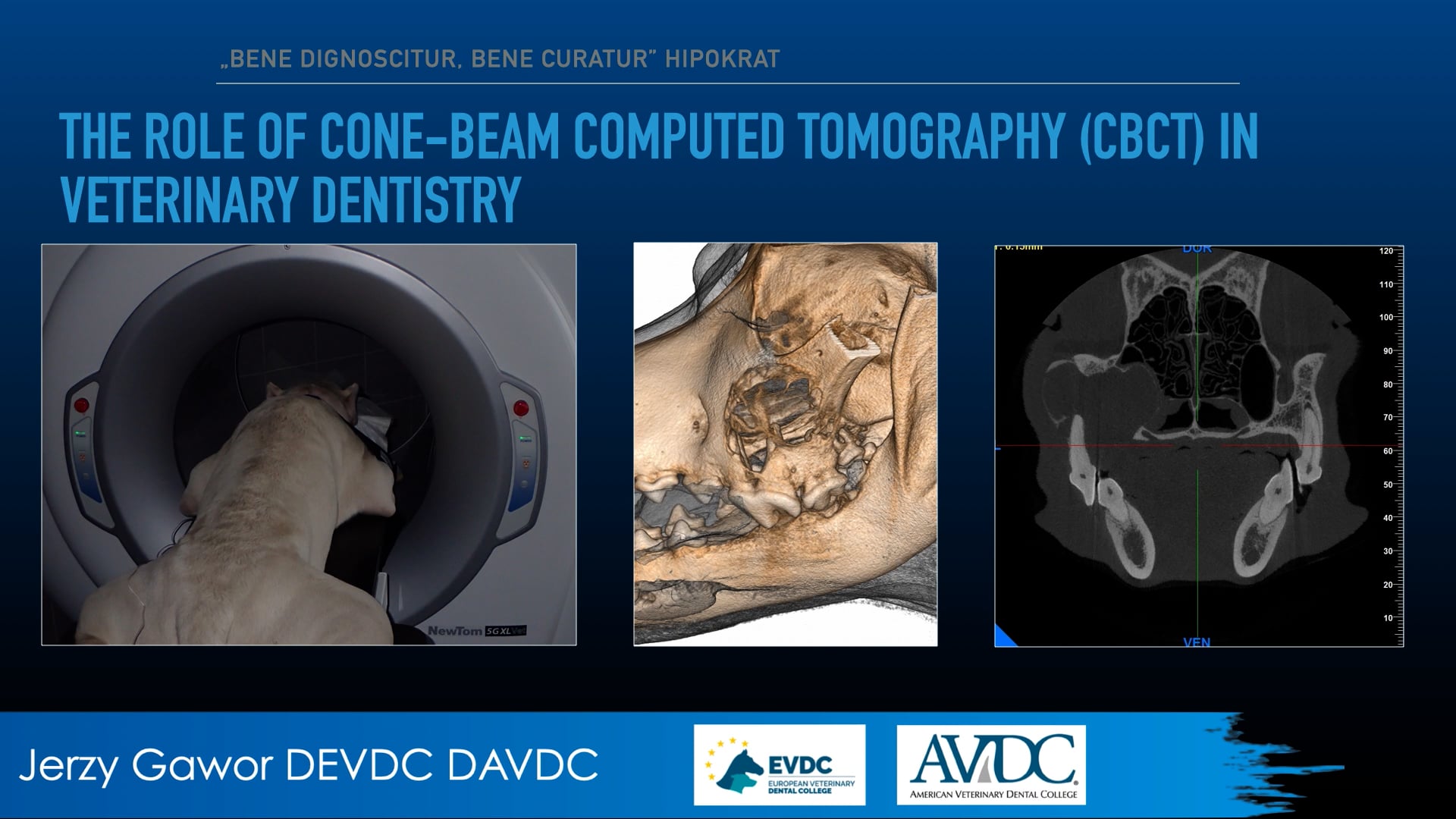 The role of cone-beam computed tomography (CBCT) in veterinary dentistry