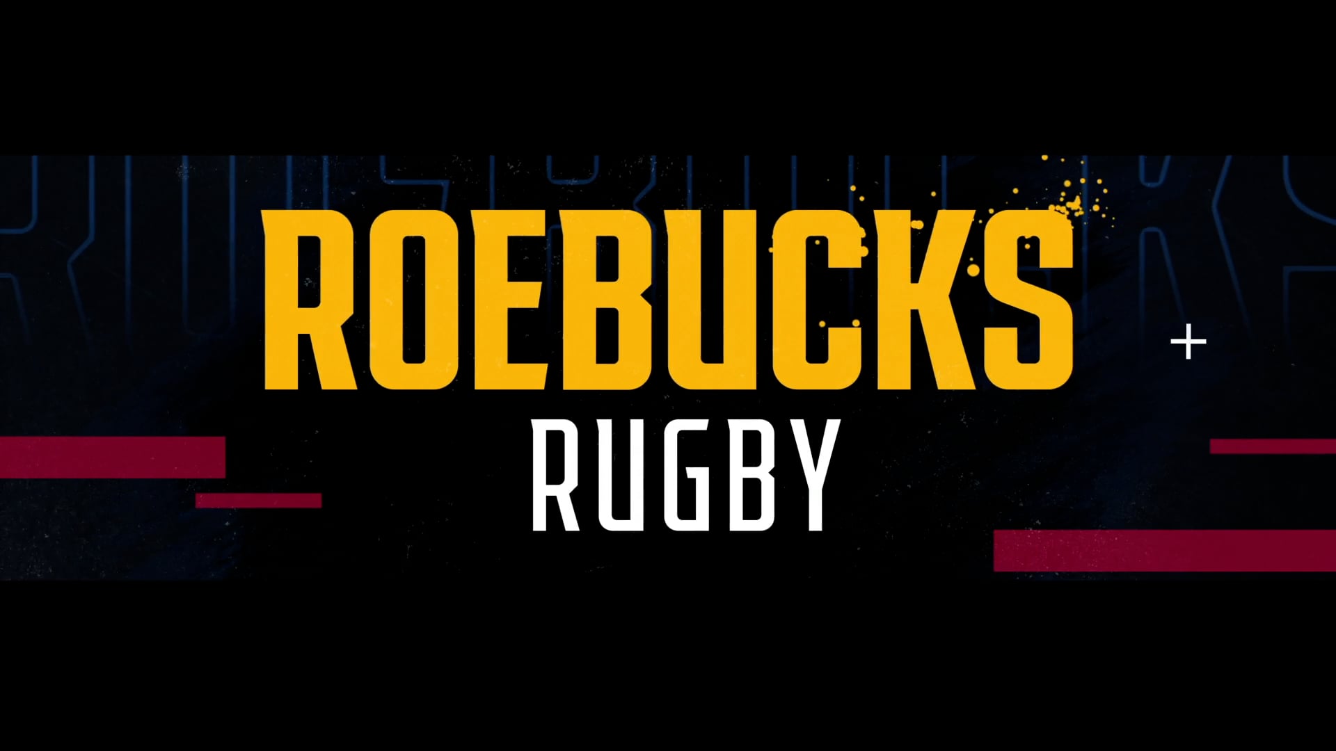 Roebucks Academy
