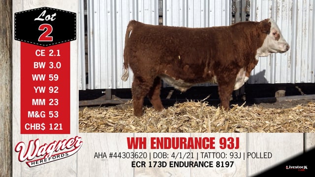 Lot #2 - WH ENDURANCE 93J