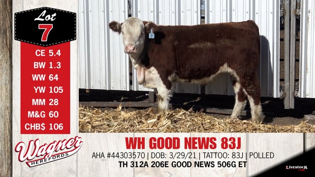 Lot #7 - WH GOOD NEWS 83J