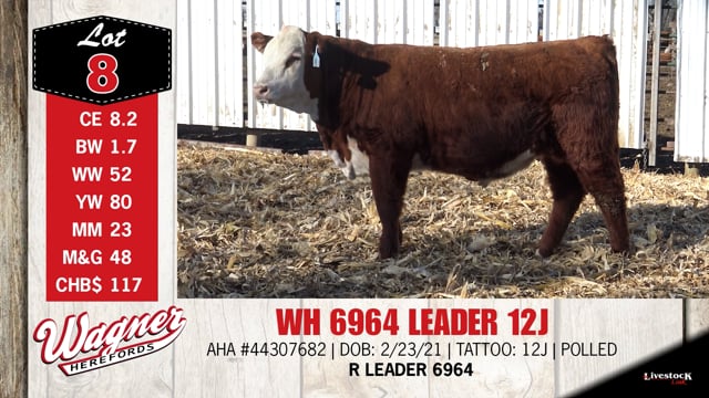 Lot #8 - WH 6964 LEADER 12J
