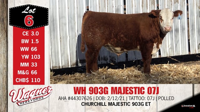 Lot #6 - WH 903G MAJESTIC 07J