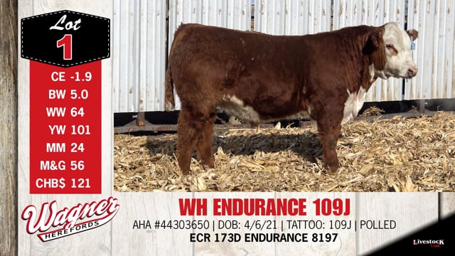 Lot #1 - WH ENDURANCE 109J