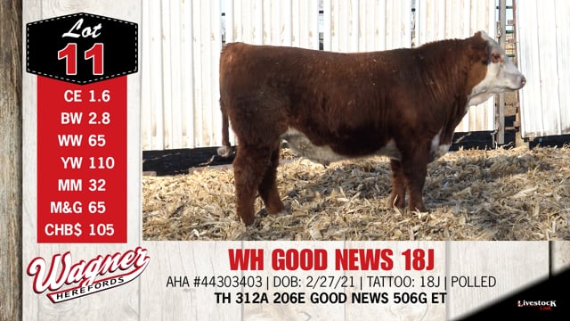 Lot #11 - WH GOOD NEWS 18J