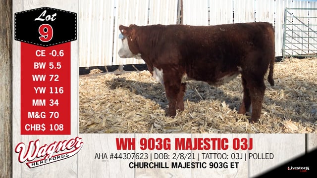 Lot #9 - WH 903G MAJESTIC 03J