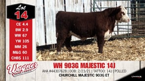 Lot #14 - WH 903G MAJESTIC 14J