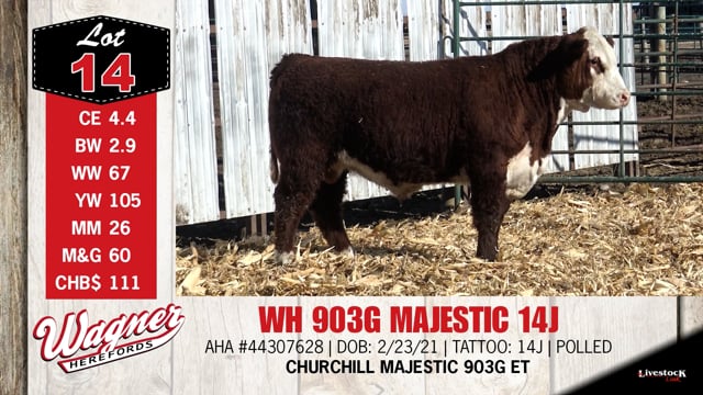 Lot #14 - WH 903G MAJESTIC 14J