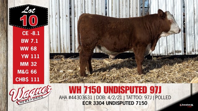 Lot #10 - WH 7150 UNDISPUTED 97J
