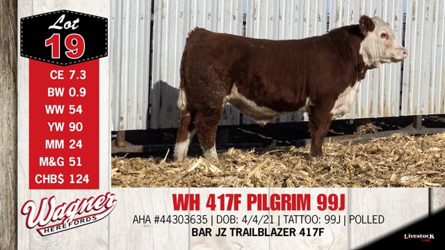 Lot #19 - WH 417F PILGRIM 99J