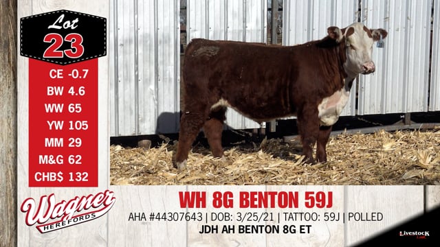 Lot #23 - WH 8G BENTON 59J