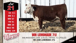 Lot #21 - WH LEMONADE 71J