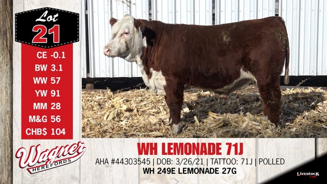 Lot #21 - WH LEMONADE 71J