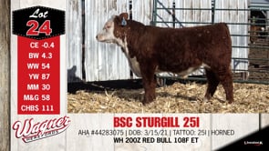 Lot #24 - BSC STURGILL 25I