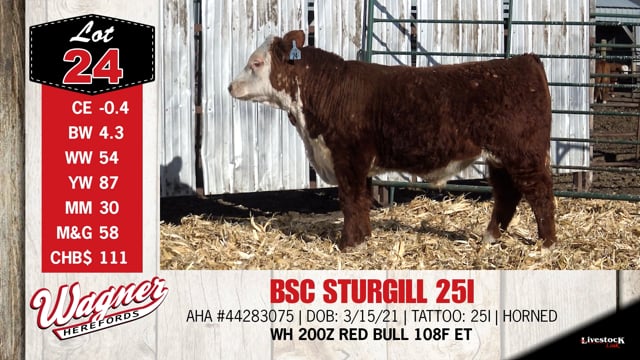 Lot #24 - BSC STURGILL 25I