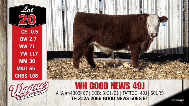 Lot #20 - WH GOOD NEWS 49J