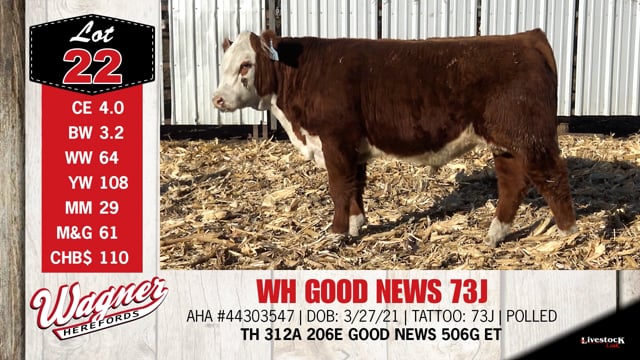 Lot #22 - WH GOOD NEWS 73J