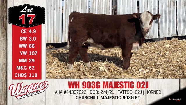 Lot #17 - ***OUT OF SALE*** WH 903G MAJESTIC 02J