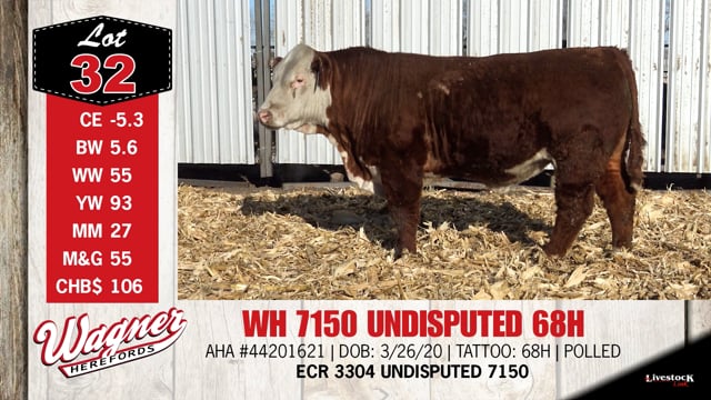 Lot #32 - WH 7150 UNDISPUTED 68H