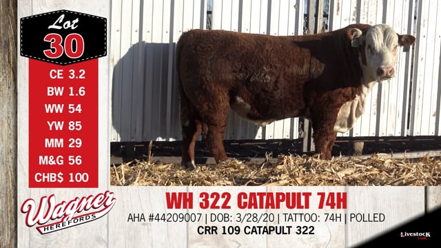 Lot #30 - ***OUT OF SALE*** WH 322 CATAPULT 74H