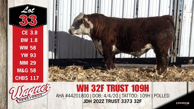 Lot #33 - WH 32F TRUST 109H