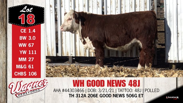 Lot #18 - WH GOOD NEWS 48J