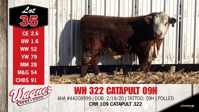 Lot #35 - WH 322 CATAPULT 09H