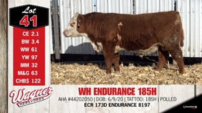 Lot #41 - WH ENDURANCE 185H