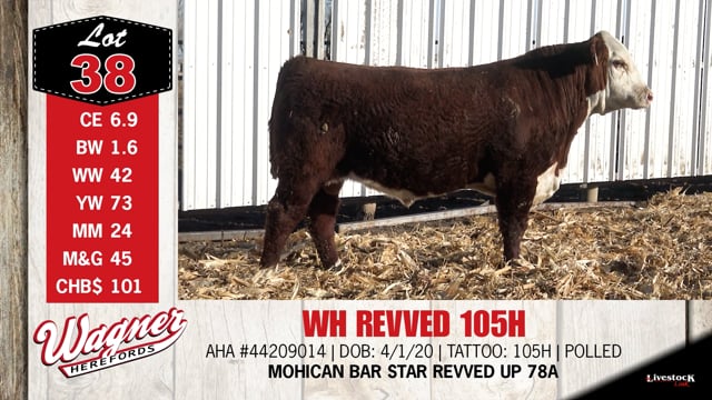 Lot #38 - WH REVVED 105H