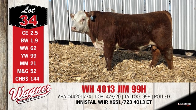 Lot #34 - WH 4013 JIM 99H