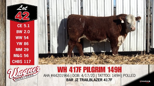Lot #42 - WH 417F PILGRIM 149H