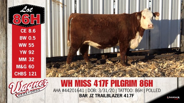 Lot #86H - WH MISS 417F PILGRIM 86H