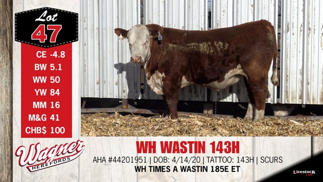 Lot #47 - WH WASTIN 143H