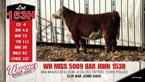 Lot #153H - WH MISS 5009 BAR JOHN 153H